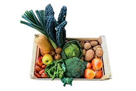 Pomodoro da salsa in cassetta >10Kg (copia)