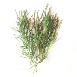 Agretti